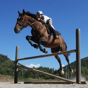 horse riding summer camp in spain